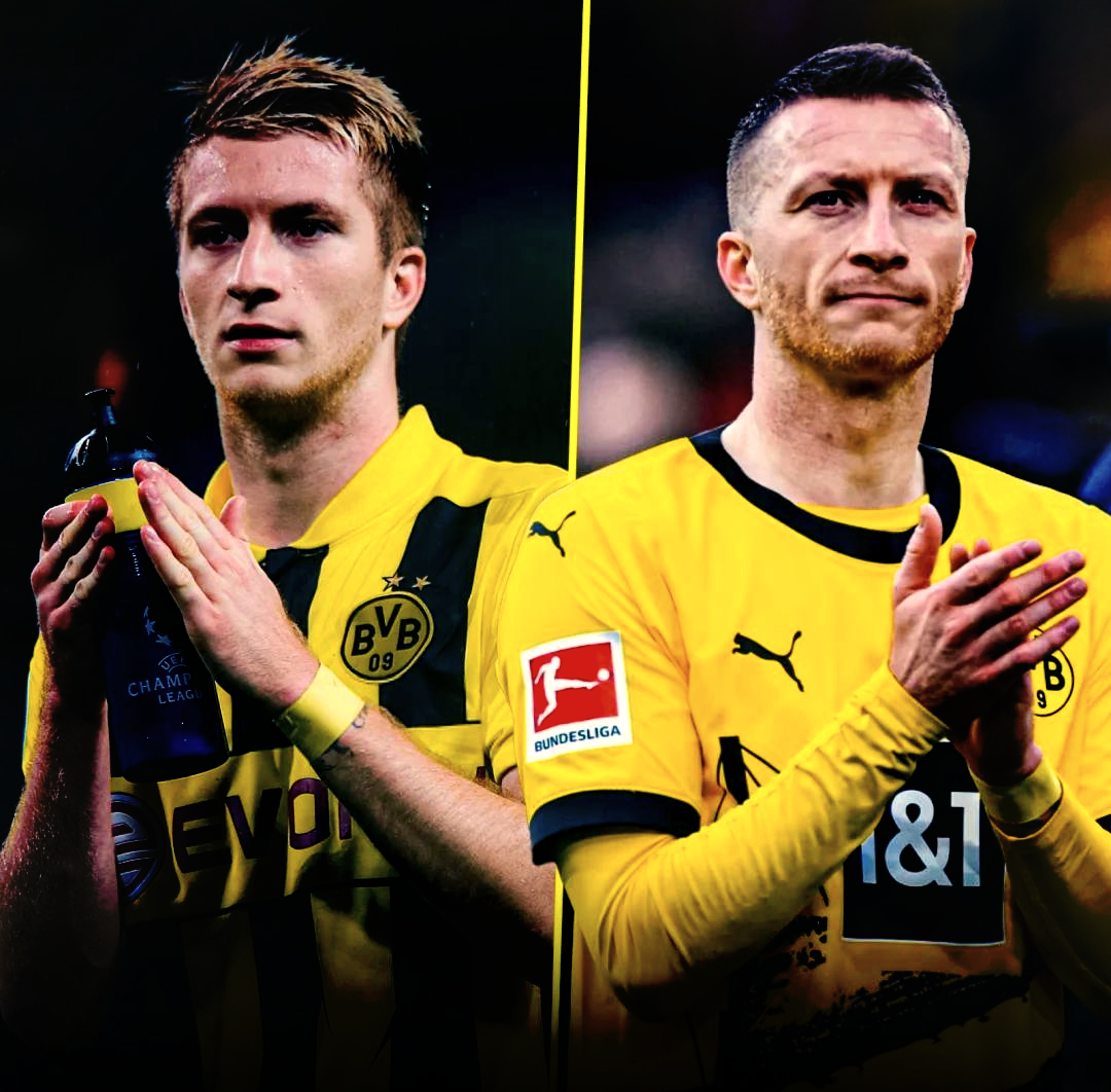 德甲多特蒙德vs法兰克福